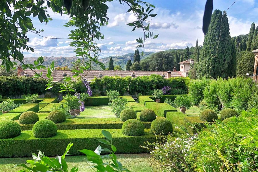 Rosmarino, Resistenza e Rose