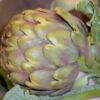 Carciofi alla Giudia