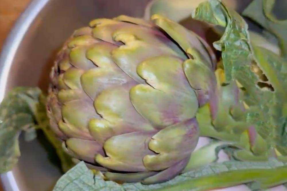Carciofi alla Giudia
